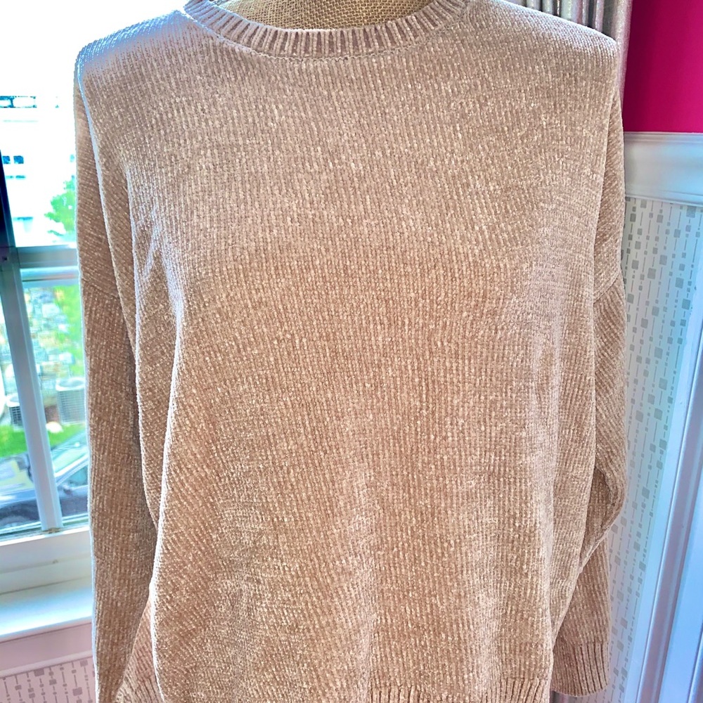 Forever 21 Beige Velvet Sweater